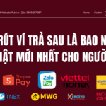 Phí Rút Ví Trả Sau Là Bao Nhiêu? Cập Nhật Mới Nhất Cho Người Dùng