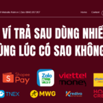 rút ví trả sau dùng nhiều ví cùng lúc có sao không