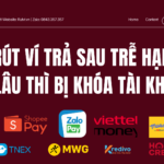 rút ví trả sau trễ hạn bao lâu thì bị khóa