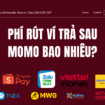 Phí rút ví trả sau MoMo bao nhiêu? Tìm hiểu chi phí khi rút tiền từ ví trả sau MoMo và các yếu tố ảnh hưởng đến mức phí.