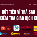 Rút Tiền Ví Trả Sau Có Bị Kiểm Tra Giao Dịch Không?