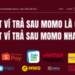 Rút ví trả sau MoMo là gì? Tìm hiểu cách rút ví trả sau MoMo, phí rút tiền, thời gian nhận tiền và những lưu ý quan trọng khi sử dụng dịch vụ.