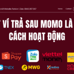 Rút ví trả sau MoMo là gì? Tìm hiểu cách hoạt động của ví trả sau MoMo và cách chuyển hạn mức ví trả sau thành tiền mặt.