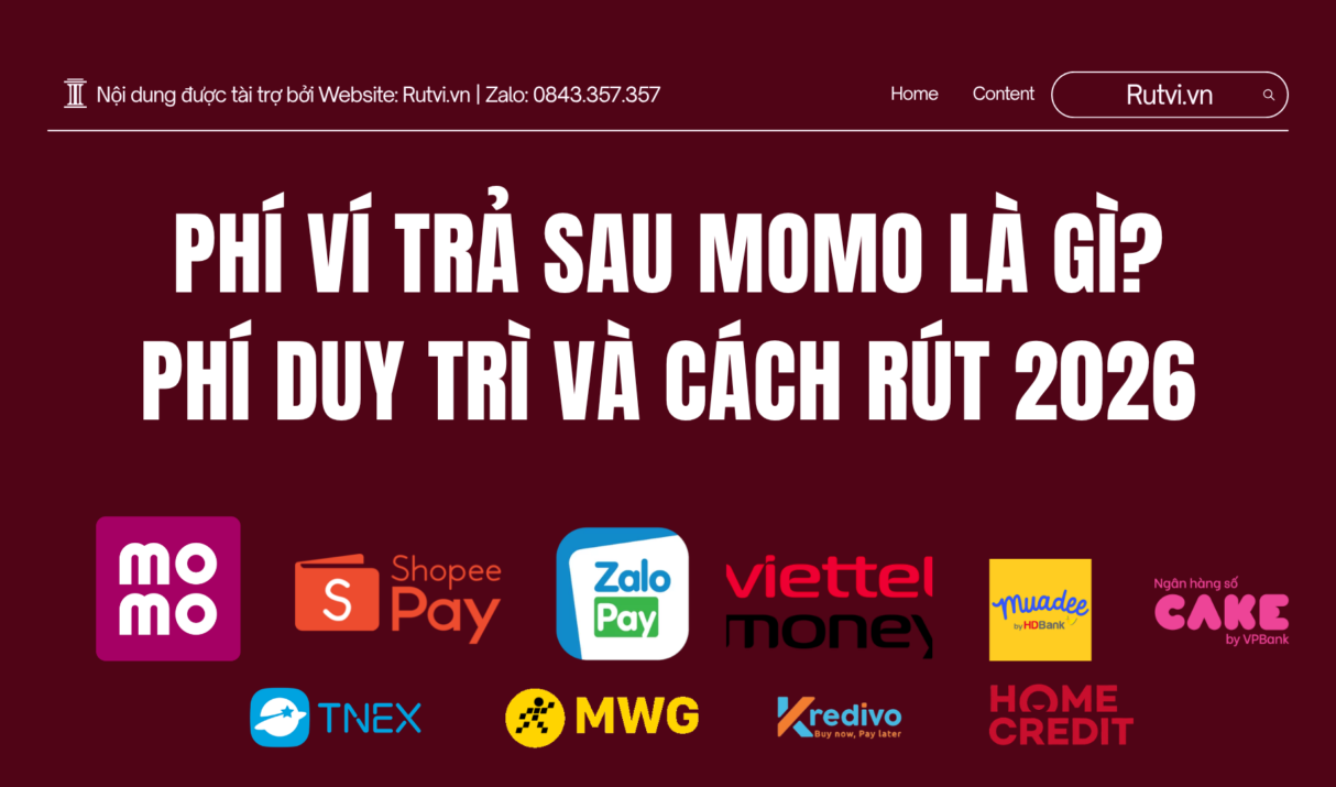 Phí Ví Trả Sau MoMo Là Gì? Phí Duy Trì Và Cách Rút An Toàn