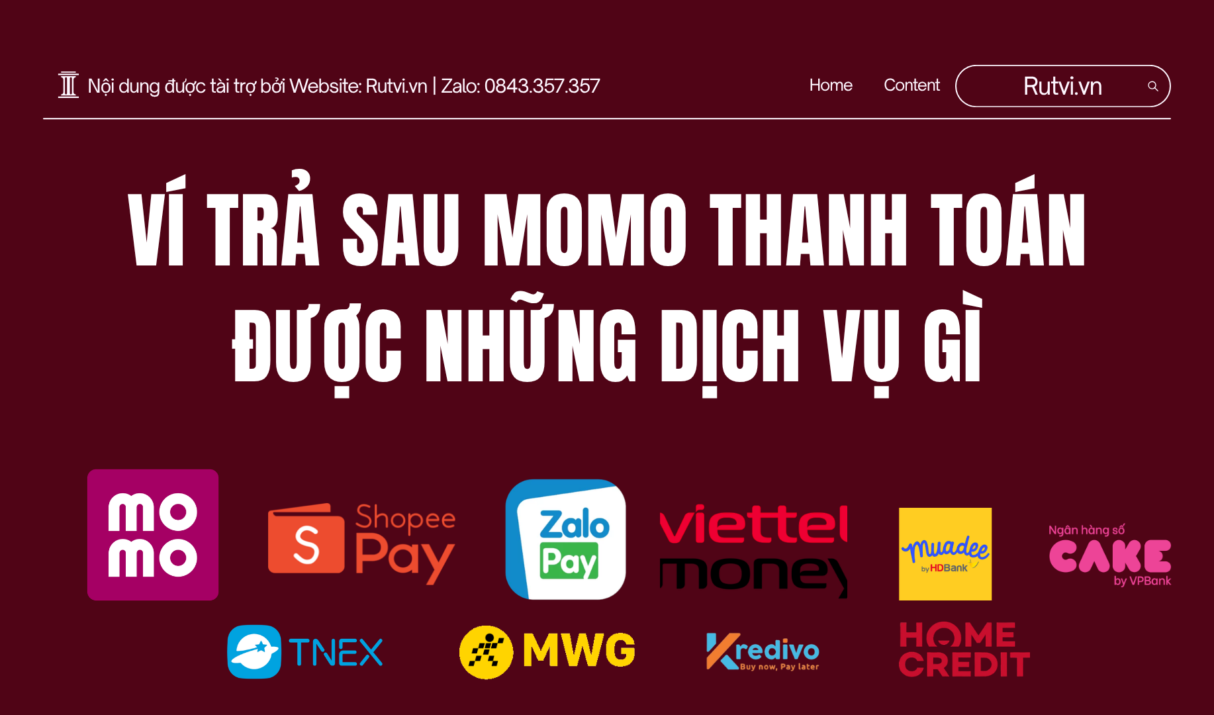 Ví Trả Sau MoMo Thanh Toán Được Những Dịch Vụ Gì? Chi Tiết Nhất